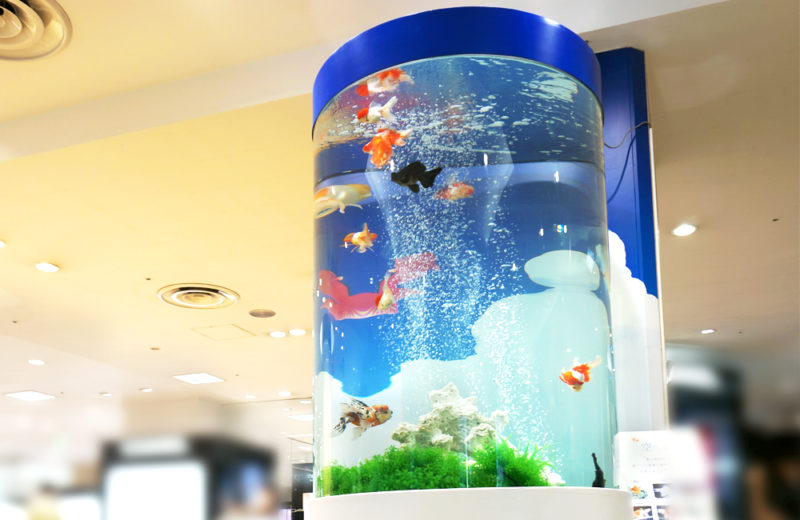 百貨店イベント 金魚の円柱水槽 水槽レンタル事例 水槽画像1