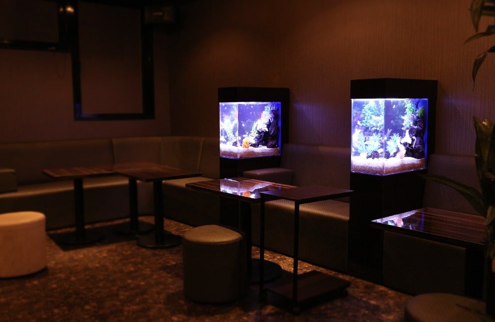 飲食店 フロアに設置 2台の淡水魚水槽 水槽販売事例 メイン画像