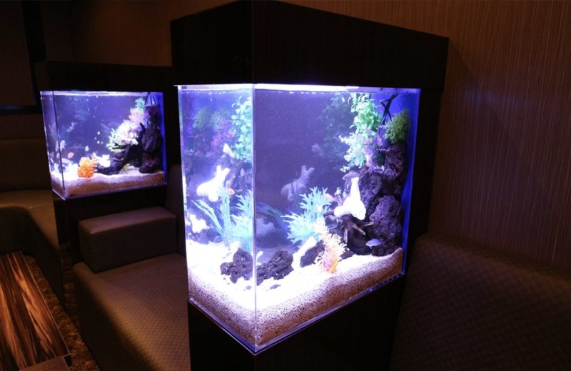飲食店 フロアに設置 2台の淡水魚水槽 水槽販売事例 水槽画像2