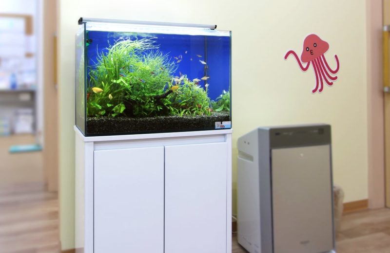 小児科　待合室　アクアリウム（淡水魚水槽）水槽レンタル事例 水槽画像１