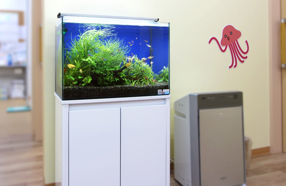 小児科 待合室 アクアリウム(淡水魚水槽)水槽レンタル事例のサムネイル画像