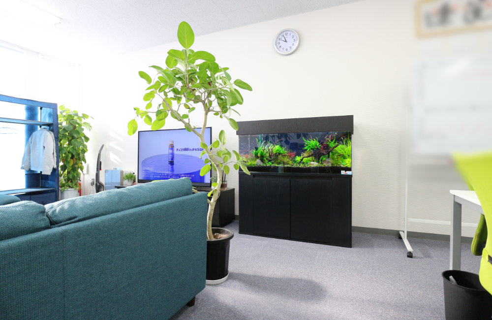 観葉植物と黒い水槽台に設置された大型水草水槽のある室内