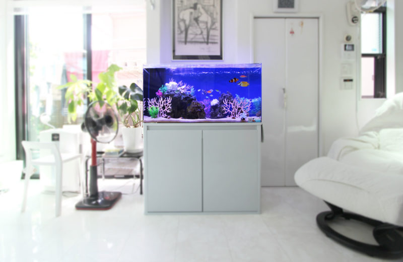 白いリビングに設置された海水魚水槽と水槽台の全景