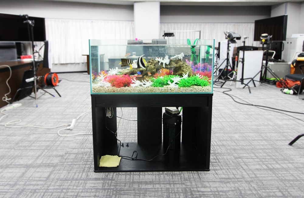 オフィスに設置された海水魚水槽と黒い水槽台の全景