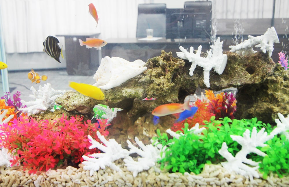 カラフルな人工水草と海水魚が泳ぐオフィス内の水槽