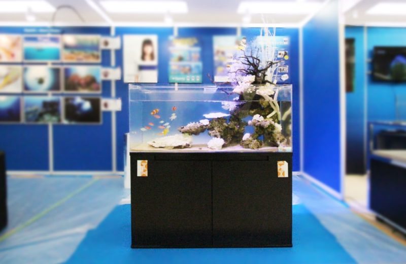 サンシャイン イベントに設置 120cmマリンアクアテラリウム事例 水槽画像1