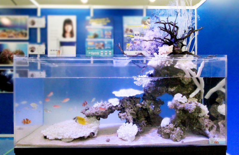 サンシャイン イベントに設置 120cmマリンアクアテラリウム事例 水槽画像2