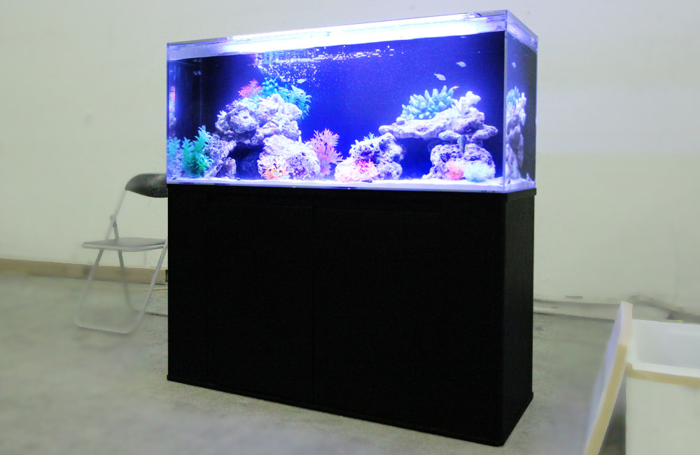 黒い水槽台に設置された青い照明の海水魚水槽