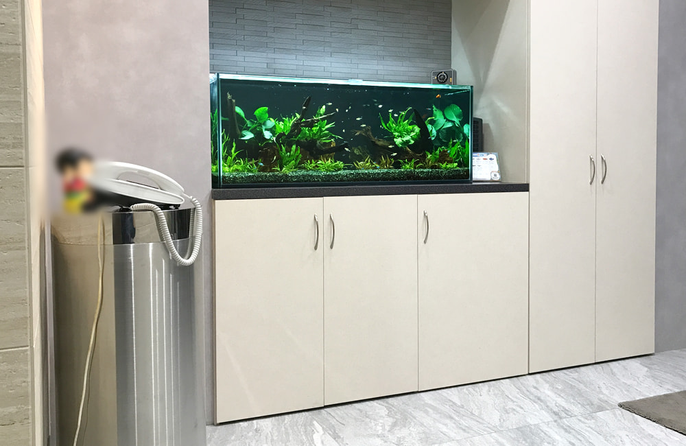 大阪市 オフィスのエントランス 120cm淡水魚水槽レンタル事例のサムネイル画像