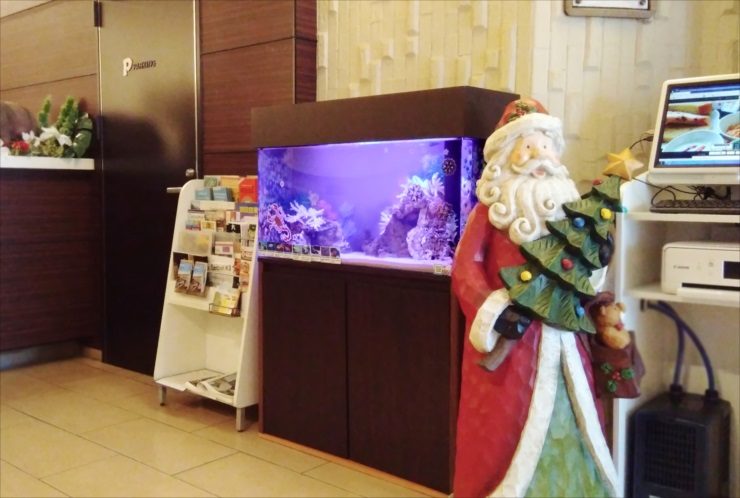サンタの置物と紫の照明が灯る海水魚水槽の設置風景
