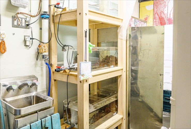 木製ラックに設置された活魚水槽と業務用の流し台