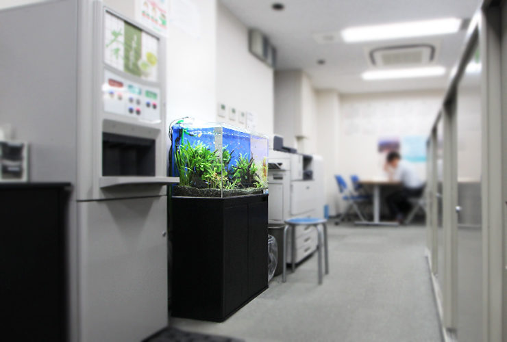 オフィスに設置された水草の茂る小型水槽と黒い水槽台