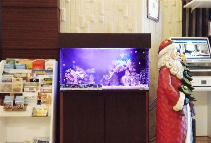 サンタの置物と並ぶ紫色の照明が灯る熱帯魚水槽