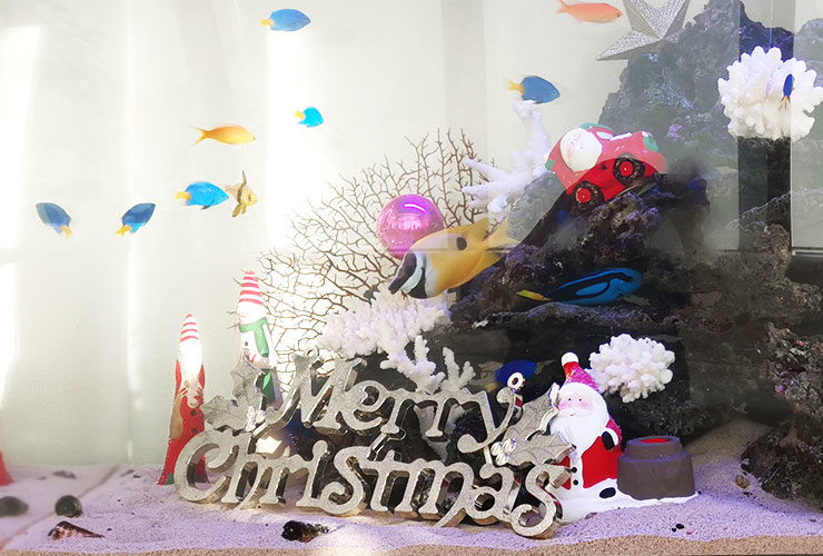 クリスマス装飾を施した海水魚水槽とサンタの置物