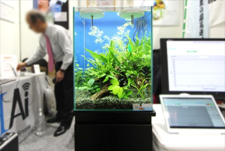 展示会場に設置された水草レイアウトの小型水槽