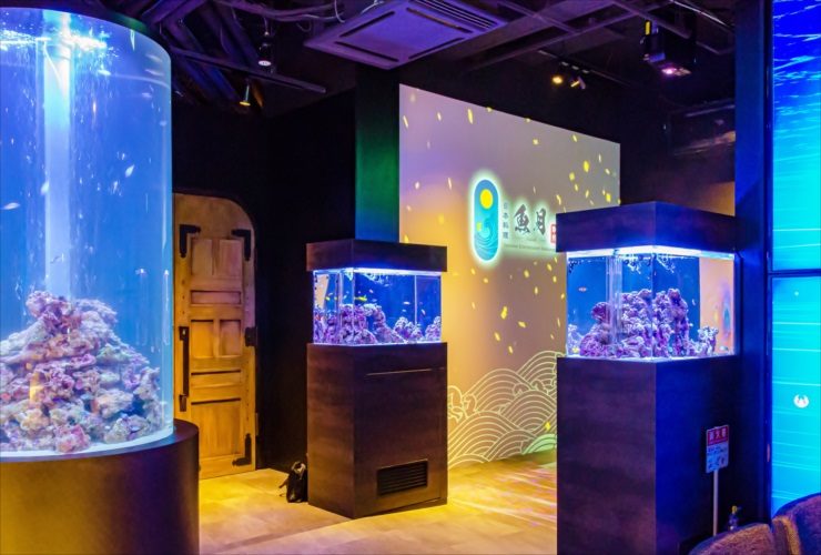円柱水槽と四角い海水魚水槽が並ぶ暗い室内の展示空間