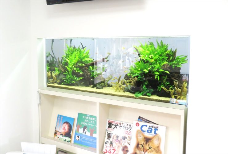 待合室の壁に埋め込まれた水草と流木の水槽レイアウト