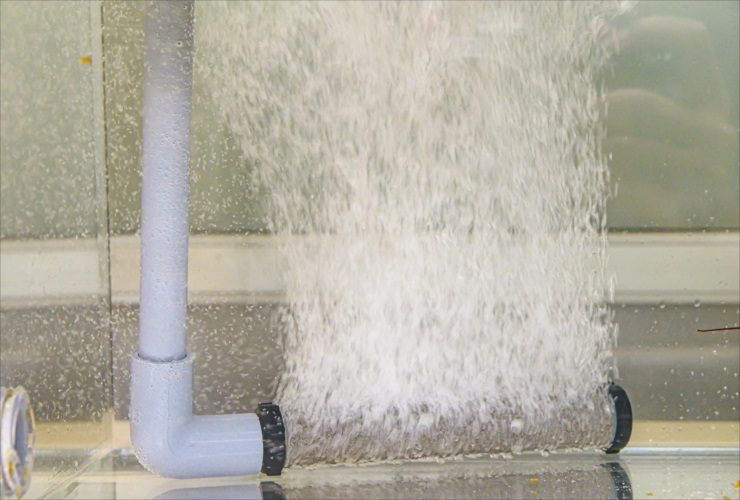 水槽内のエアストーンから勢いよく噴き出す大量の気泡