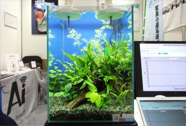 流木と水草を配置した縦長水槽と管理モニターの展示