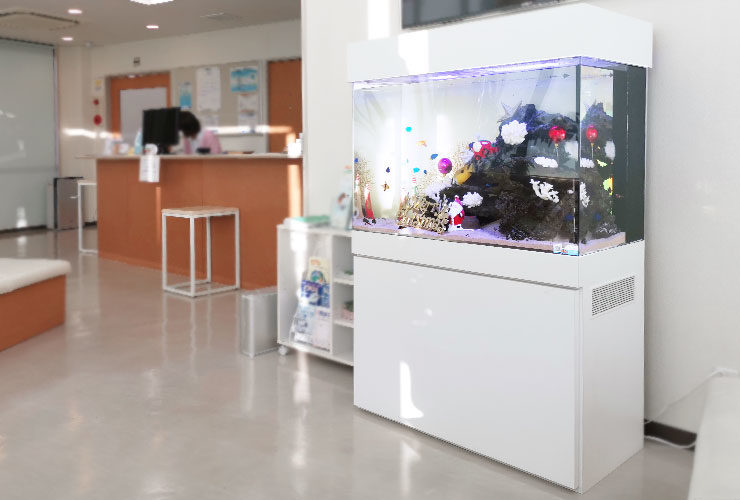クリスマス装飾を施した受付設置の白い大型海水魚水槽
