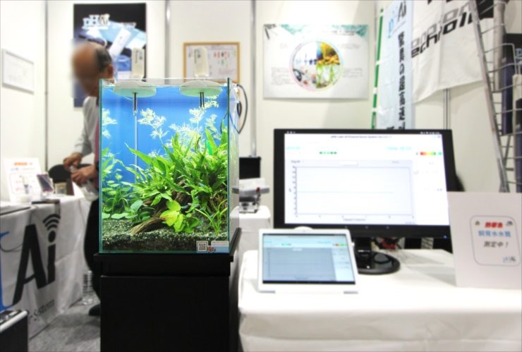 水草水槽と水質測定データ表示モニターの展示風景