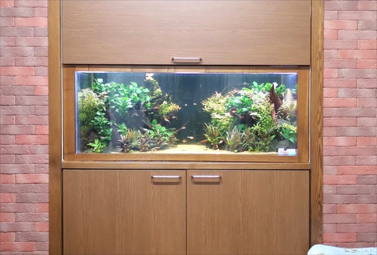 壁埋め込み風の木製棚に設置された大型の水草水槽