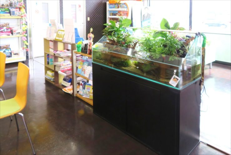 店舗内に設置されたアクアテラリウム水槽と黒い水槽台