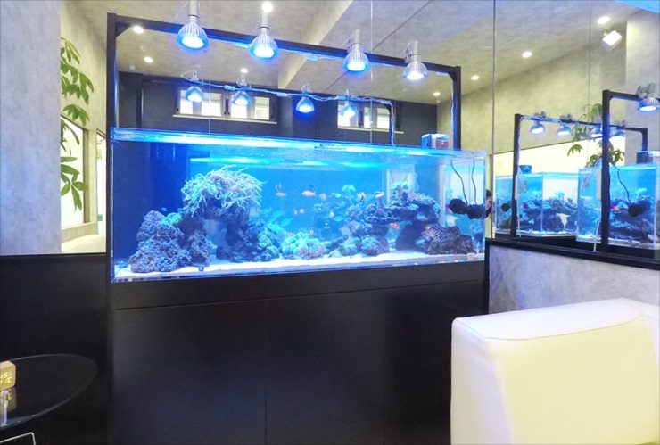 神奈川県川崎市 オフィス 150cm海水魚水槽　販売・設置事例　その後のサムネイル画像
