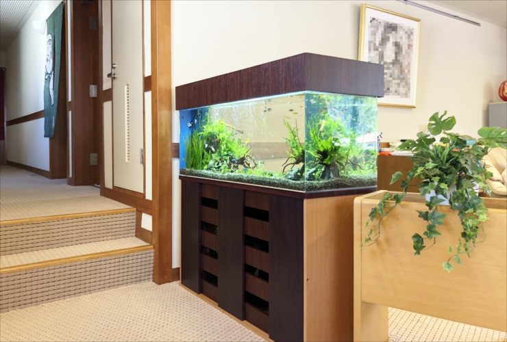 神奈川県湯河原町 老人ホーム 120cm淡水魚水槽 販売・メンテナンス事例