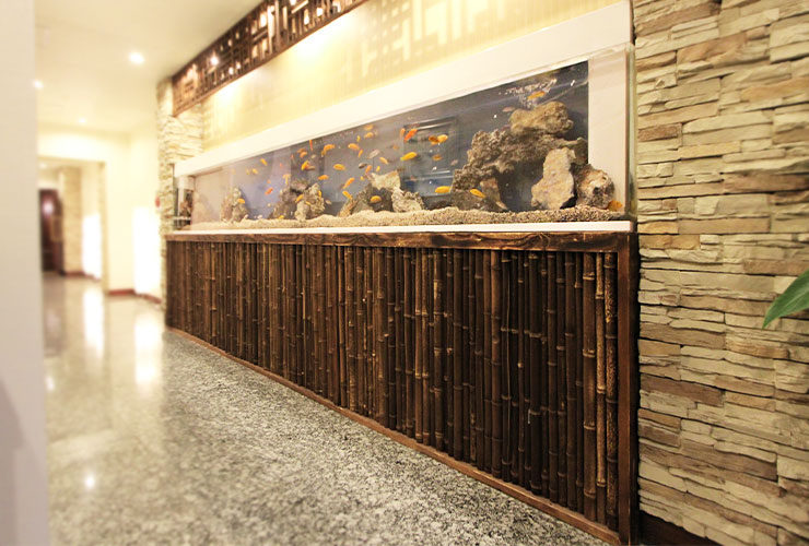 東京都台東区　店舗　 420cm埋め込み淡水魚水槽　メンテナンス事例