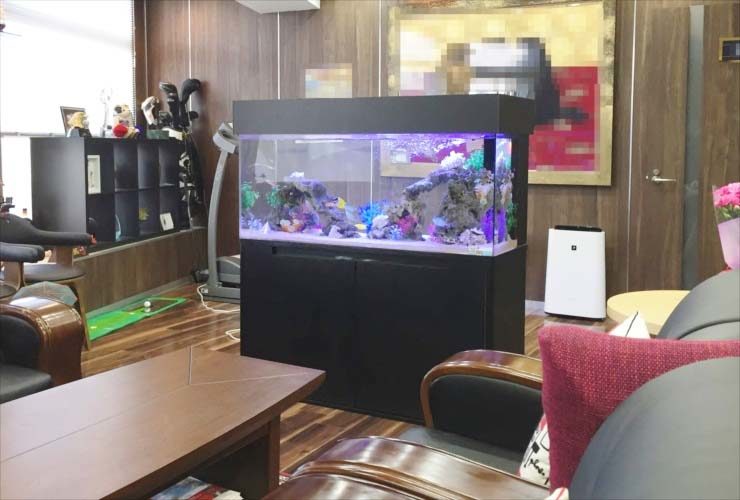 新宿区 オフィス 社長室 120cm水槽 海水アクアリウム事例のサムネイル画像