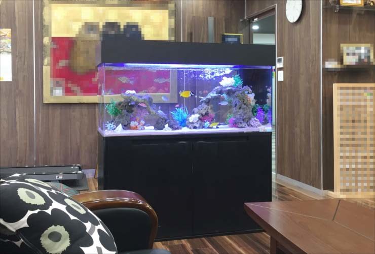 待合室に設置された海水魚が泳ぐ大型水槽のレイアウト