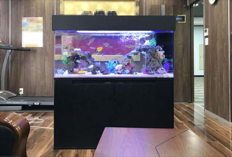 木目調の室内に設置された海水魚水槽と黒い水槽台