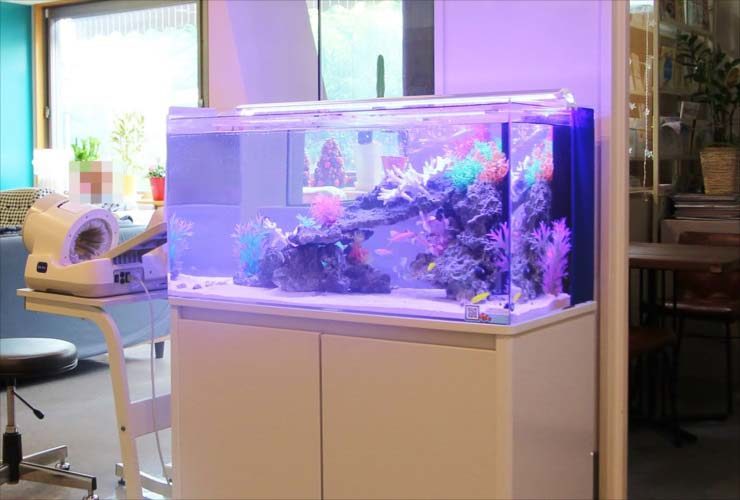 紫の照明に照らされた海水魚水槽と白い水槽台の設置例
