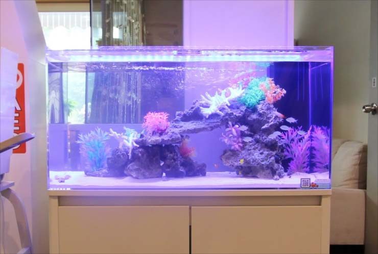 紫の照明に照らされた造花と岩組みの海水魚水槽