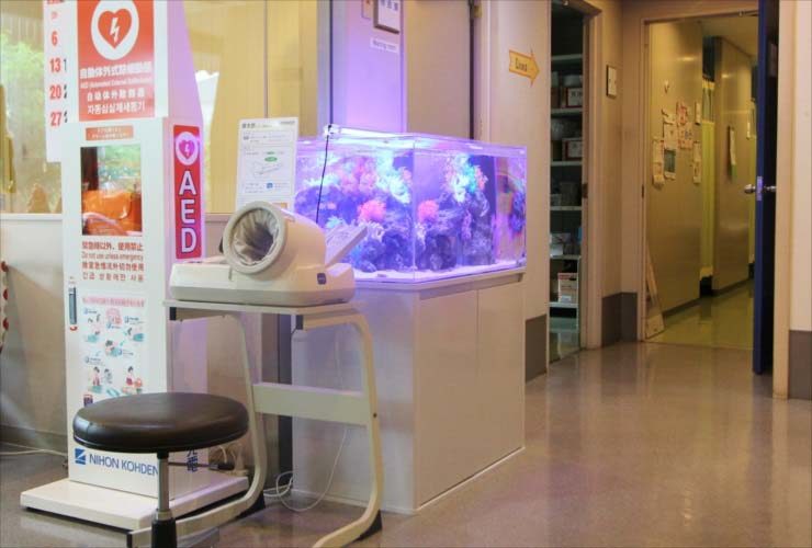AEDと血圧計の横に設置された海水魚水槽