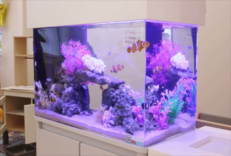 カクレクマノミと紫の人工サンゴを配置した海水魚水槽