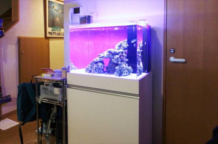 町田市 個人宅 リビングに設置 60cm海水アクアリウム 水槽レンタル事例 メイン画像