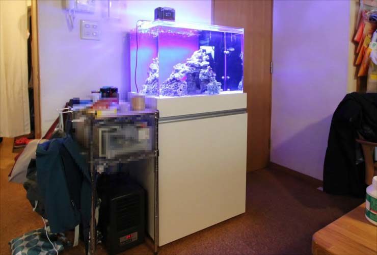 青い照明が灯る海水魚水槽と白い専用台の設置風景