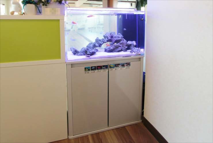 埼玉県戸田市 スポーツジムに設置 60cm海水魚水槽 レンタル事例 水槽画像1
