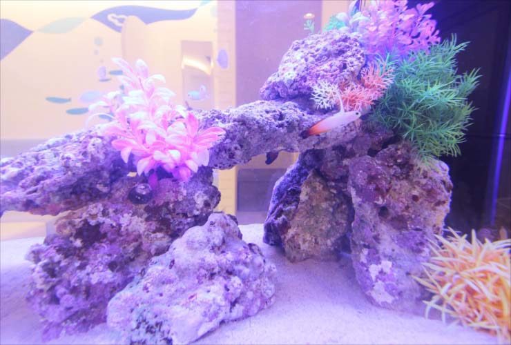 岩組とカラフルな人工水草を配置した海水魚水槽のレイアウト