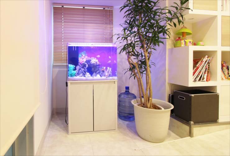 北区　デンタルクリニック　60cm海水アクアリウム　レイアウトリニューアル事例のサムネイル画像