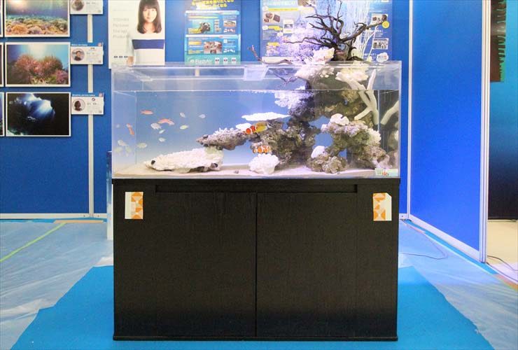 サンシャイン イベントに設置 120cmマリンアクアテラリウム事例