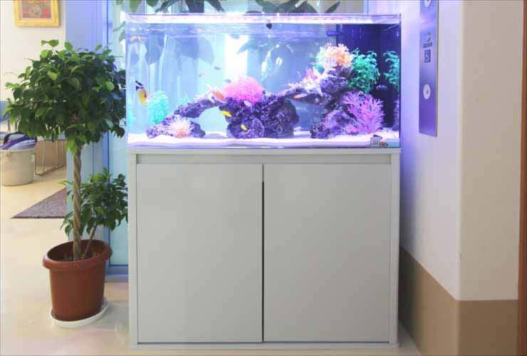調布市 クリニックに設置 90cm海水魚水槽事例をご紹介 水槽画像2