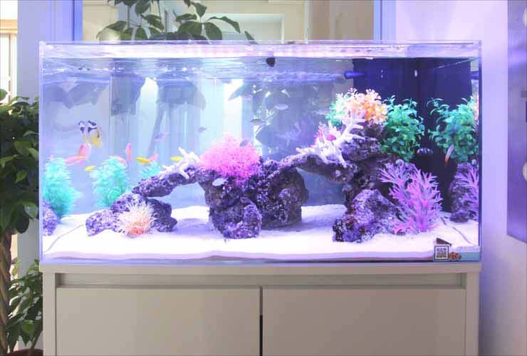 調布市 クリニックに設置 90cm海水魚水槽事例をご紹介 水槽画像3