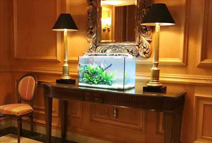 豪華な内装の部屋に設置された水草水槽と照明器具