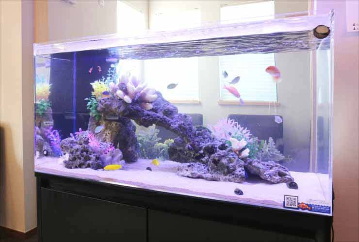 神奈川県川崎市 オフィスに設置 両面仕様 90cm海水魚水槽事例のサムネイル画像