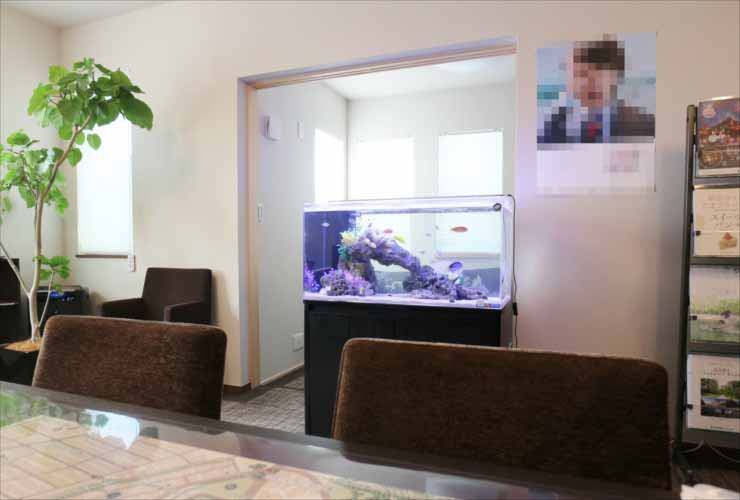 待合室に設置された海水魚水槽と観葉植物の風景