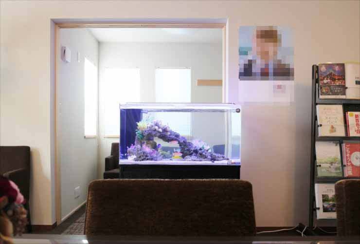 待合室に設置された紫色の岩組がある海水魚水槽