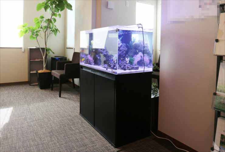 待合室に設置された大型の海水魚水槽と観葉植物